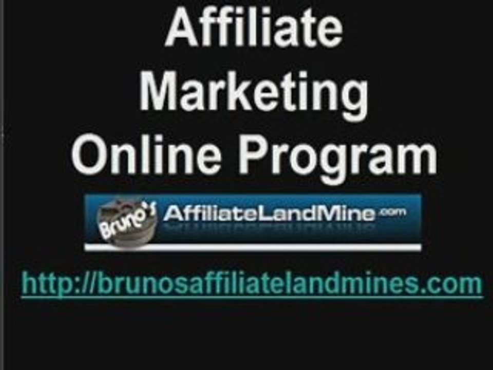 Affiliate marketing online program