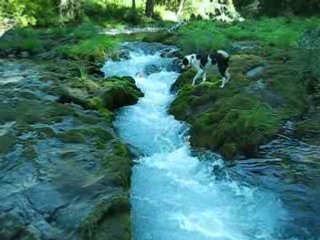 river extreme action dave