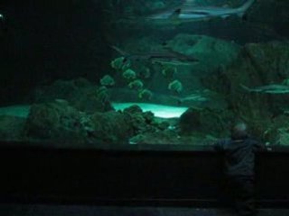 AQUA 03
