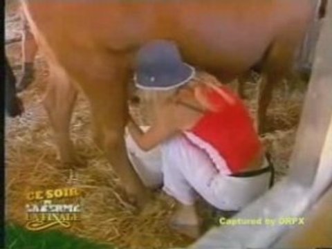 Eve Angeli - Concours de traite des vaches