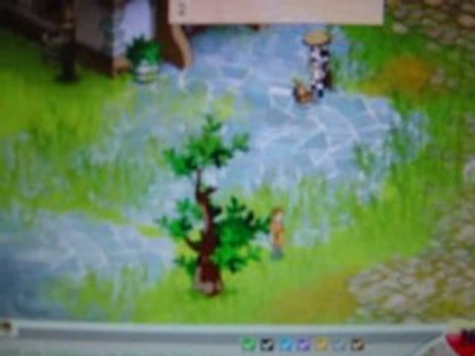 dofus