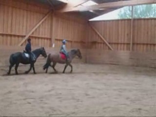 Antoine et Elton, Nouveaux Amis 🤝