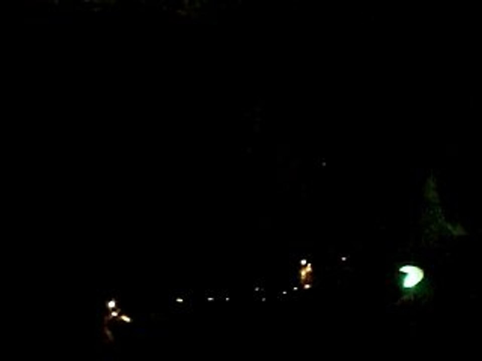 Free Lulutek Lezards libres 06_09_08