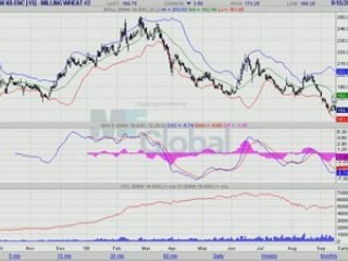 BLE MEUNIER 15.09.2008