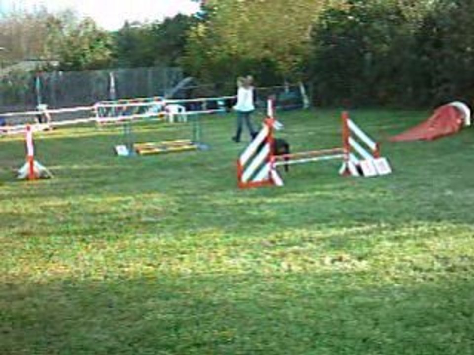 Début de jumping Prestige à  Terves 14.09.08