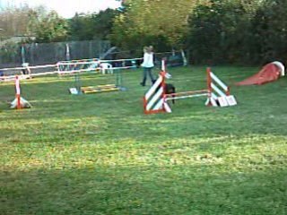 Début de jumping Prestige à  Terves 14.09.08