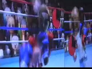 Inauguration Village Festival Musique et Cinéma 2007