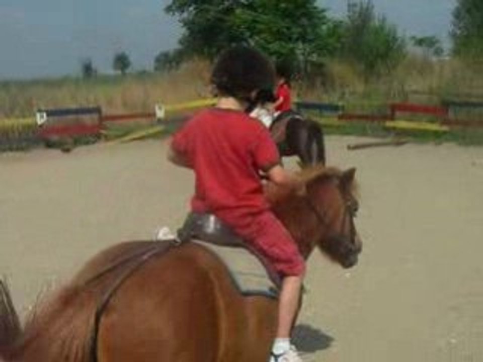 Poneys Club Nimes 08