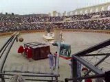 Gladiateurs 1 Puy du Fou