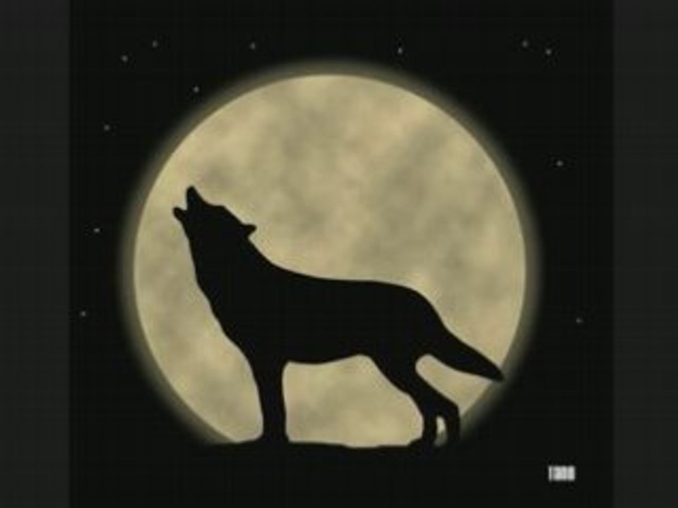 A la tienne tano !!! (vin blanc)