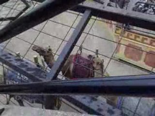 Gladiateurs 2 Puy du Fou