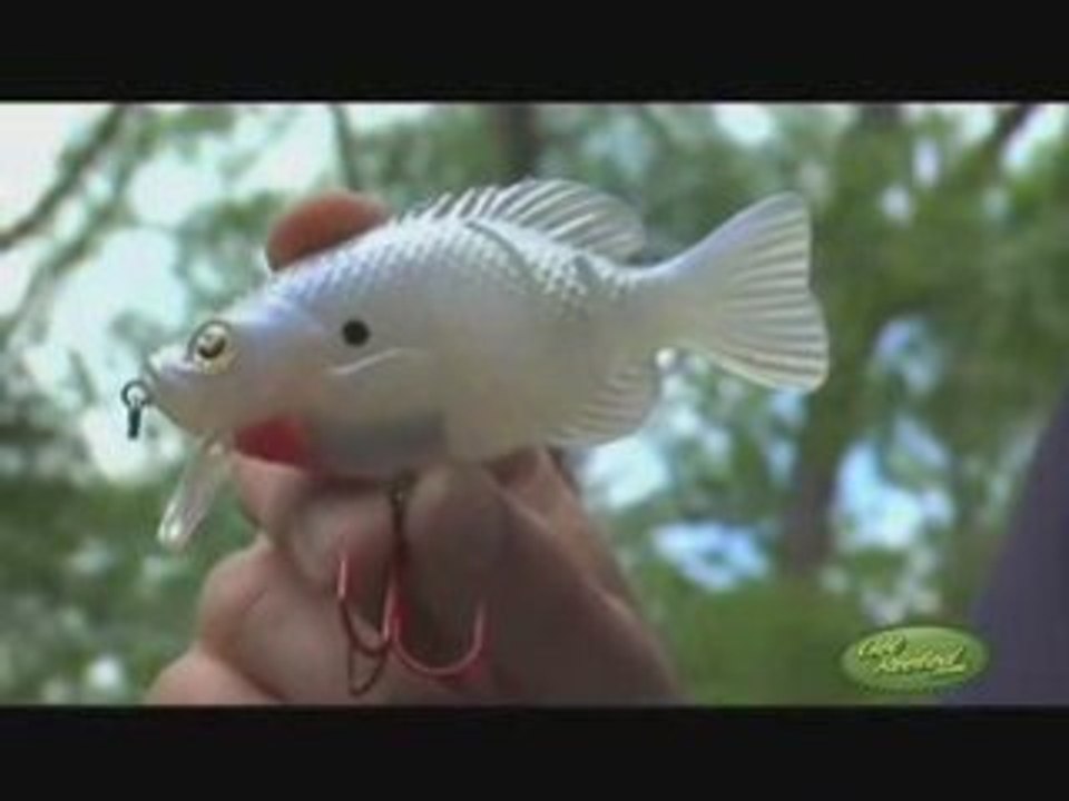 Bass Fishing Tips - Using Swimbaits - GetREELed.com