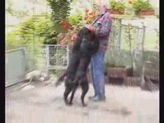 Aïcha et ses filles au jardin