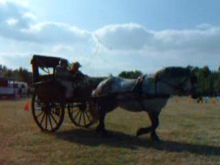 NINA Saumur 2008 C.I.Attelage - J.Claude & Monique Chartrain