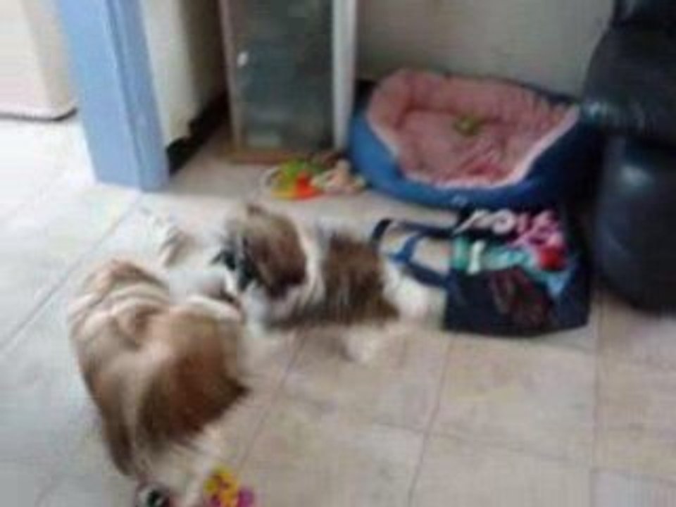 Vidéo 057