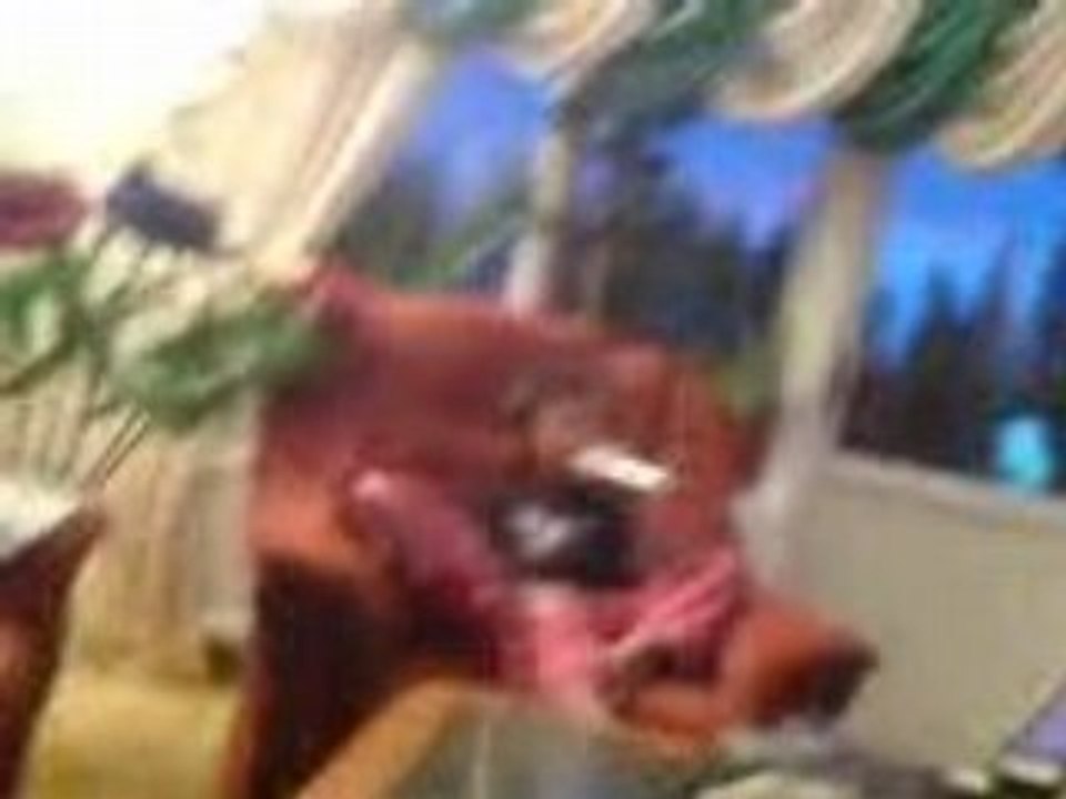 MOV01850