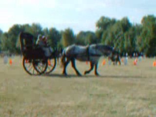 NINA Saumur - CI.Attelage - J-Cl & Monique Chartrain [part3]