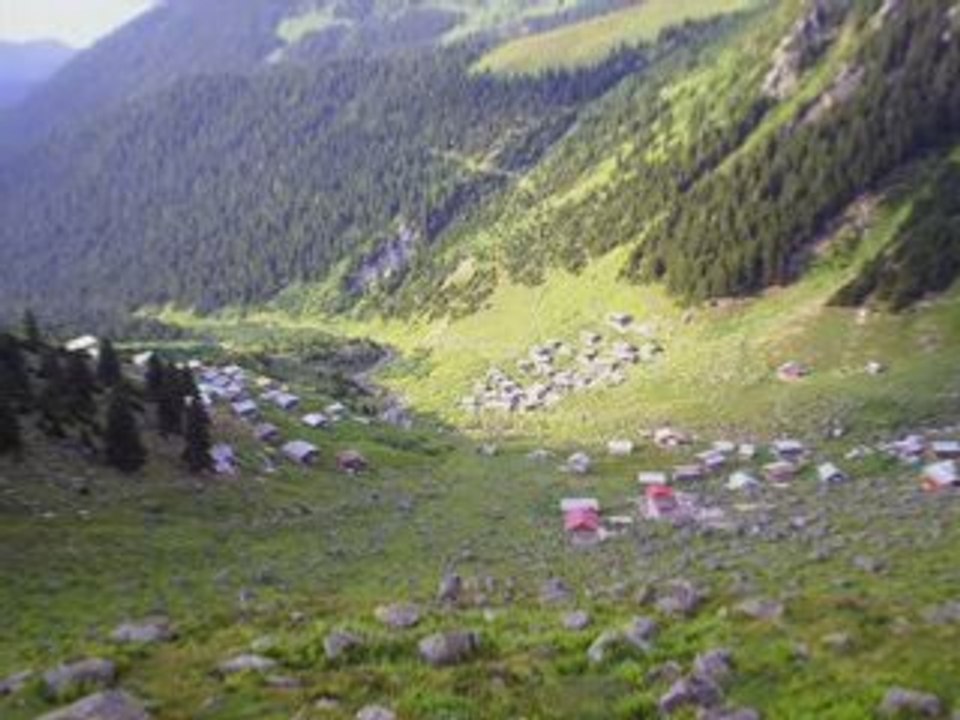 GÖKHAN BİRBEN BASMA YEŞİL ÇİMENE-KAVRUN.TR.GG