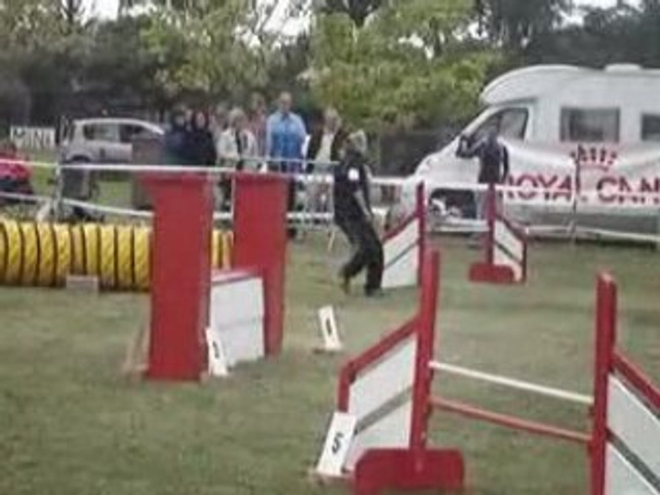 Swanny jump