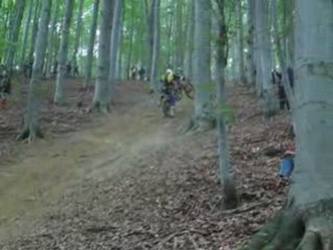 [ENDURO] ISDE 2005 - KTM Crash [Goodspeed]