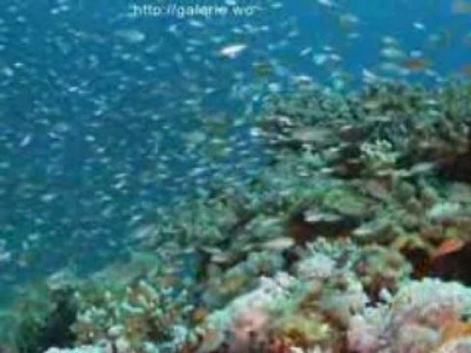 Ägypten - Hurghada