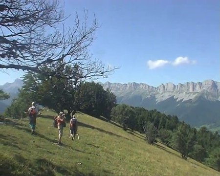Crêtes Jonier-Ferrière 1508 m - Vercors
