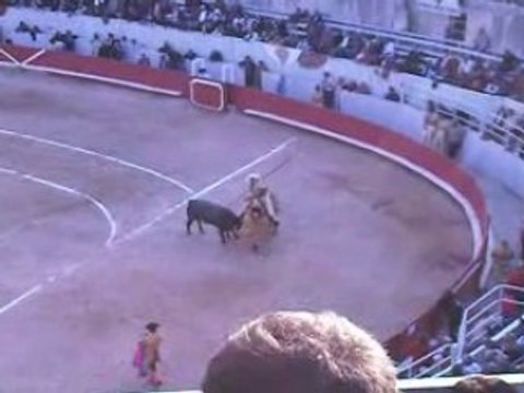 Corrida concours tercio de piques: Victorino Martin