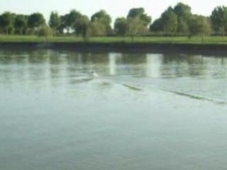 Arrow Shark Wind Rider avec embrayage de m..de d'origine