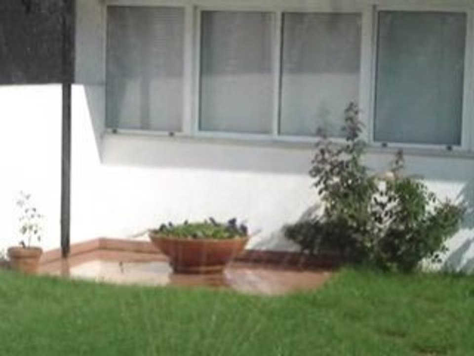 MOV03682