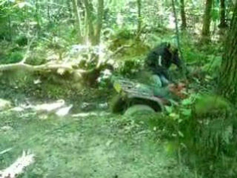 IMGP2198