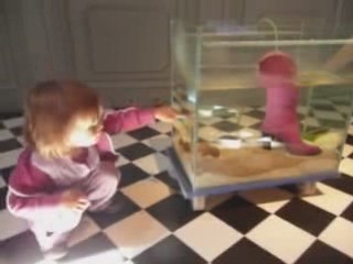 L'expo "Légende" à Chamarande (91)