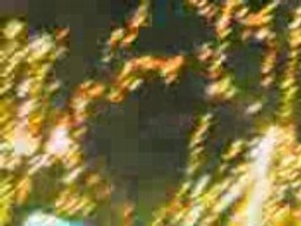 17082008