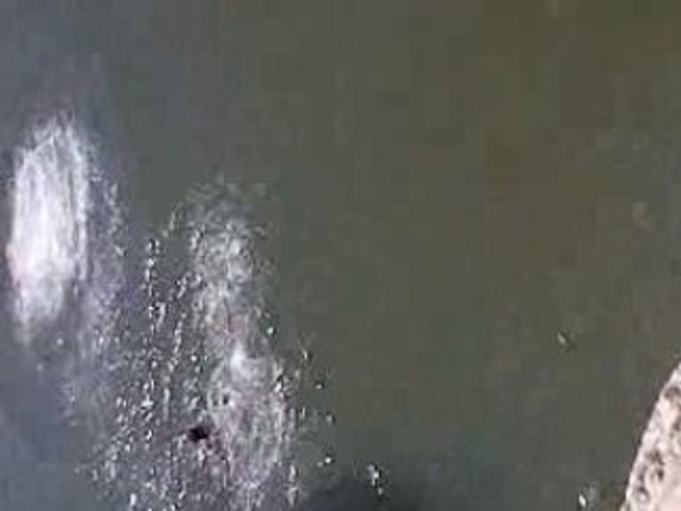 + de 600m ki a sauté Hassan(dans la tour d eljadida)