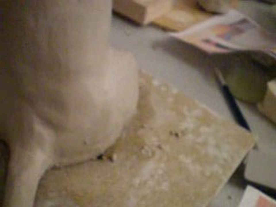minou 2