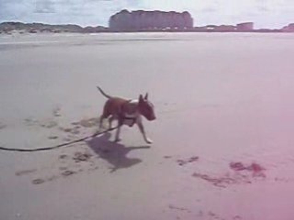 Courseplage