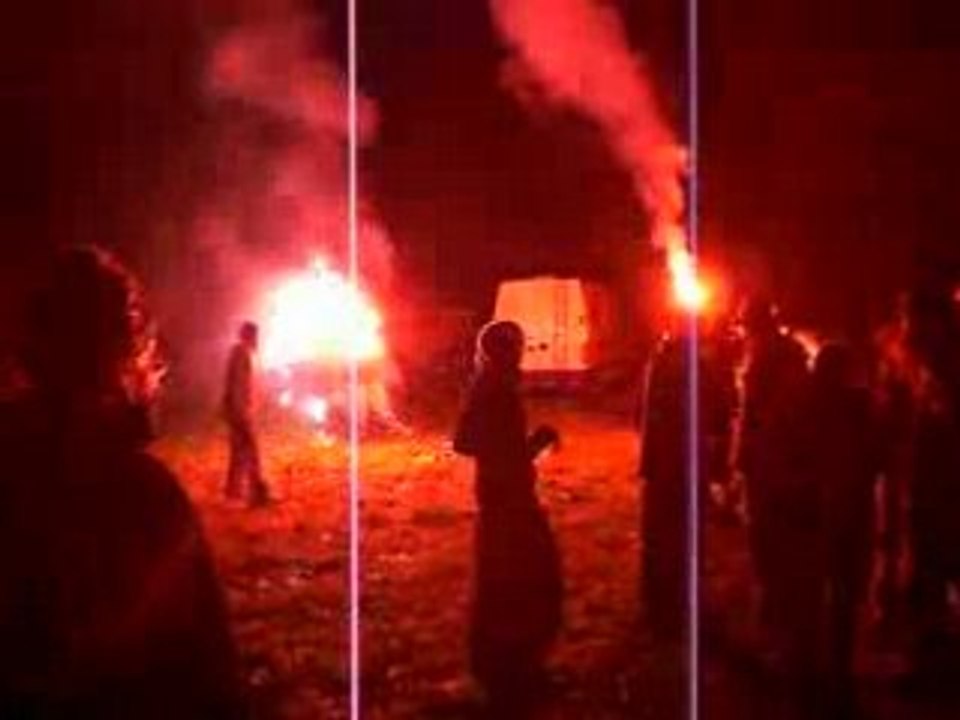 Free Lulutek Lezards libres 06_09_08