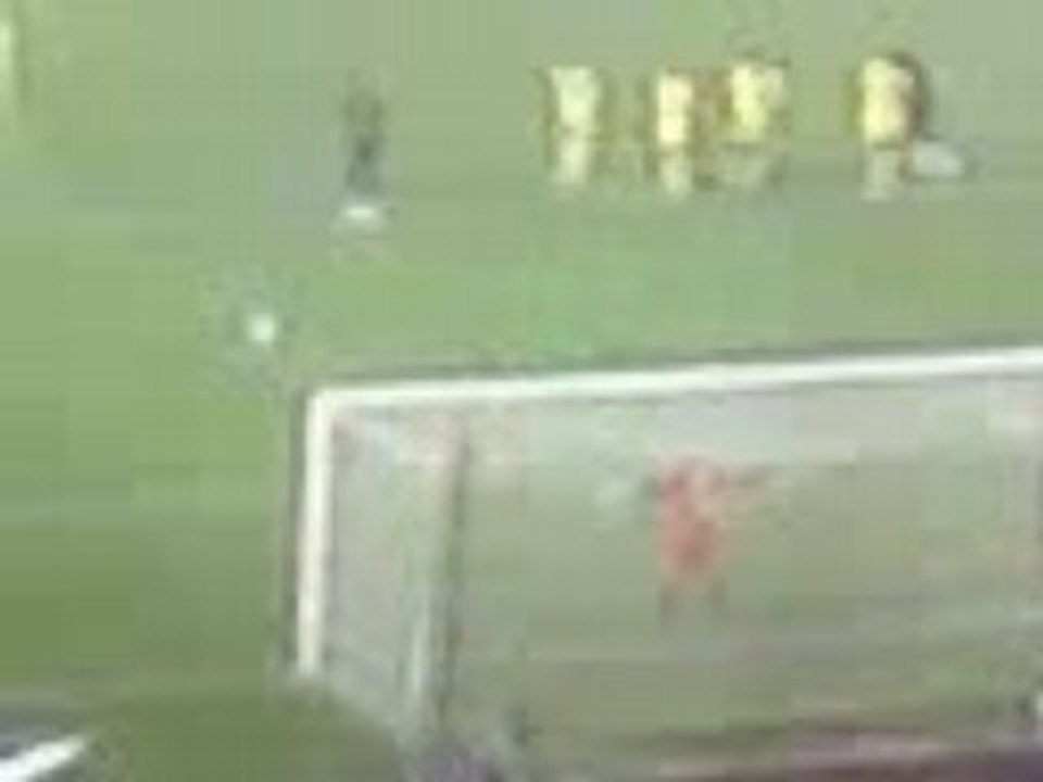 BUT KEZMAN PSG NANTES VU d'AUTEUIL