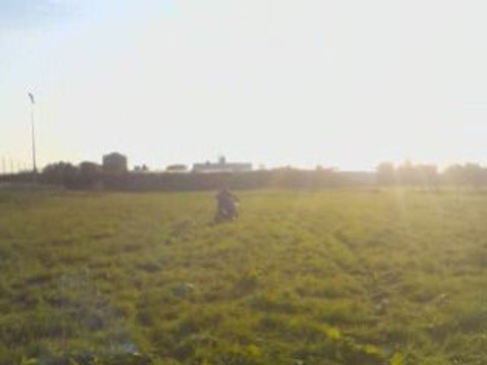 alexis 85yz