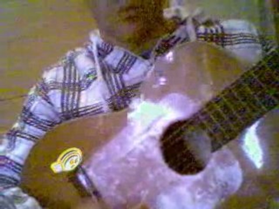Flamenco debutant nimo