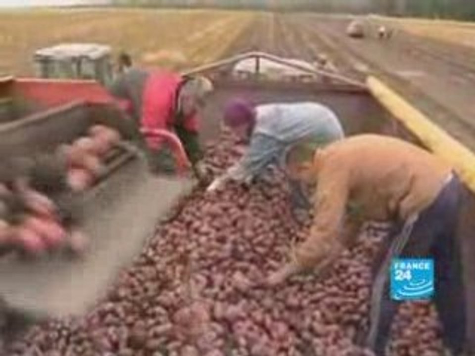 Russia: Eldorado for foreign investors