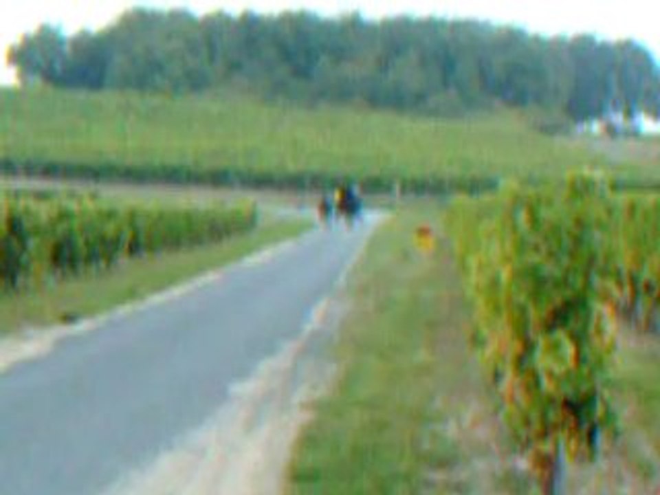 Emmanuel Tellier - Saumur 2008 - Cob/break phaeton 4roues