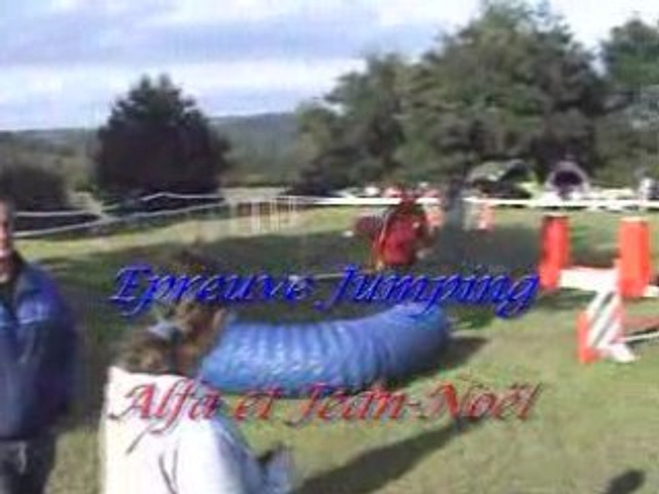 Agility (G.P.F. et Jumping de Falck 14-09-2008)