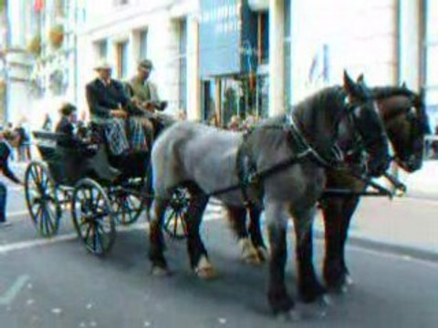 Louis Mourin - Mulassier-Poitevin Saumur CI.Att 2008 [0116]