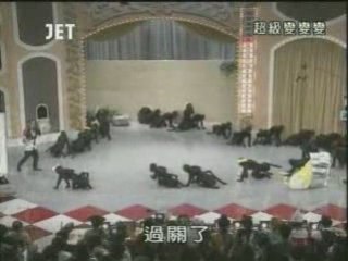 53回36番 アリの行列