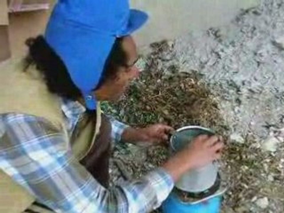 Economisez votre argent avec JeanJean