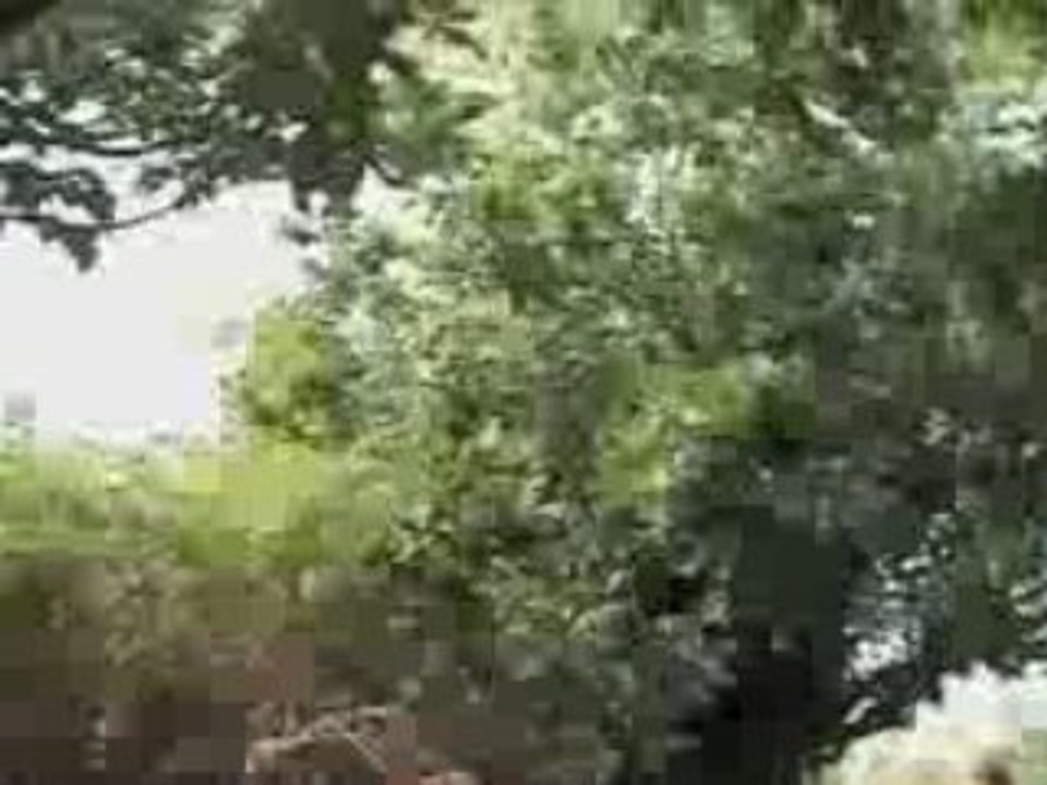 Sentier de randonnée1