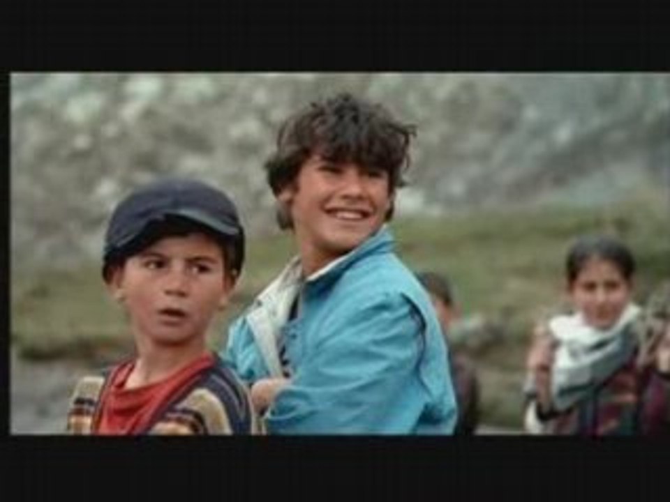 Les tortues volent aussi