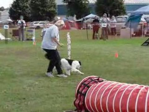 AAC National 2008 Tamy steeplechase samedi agility