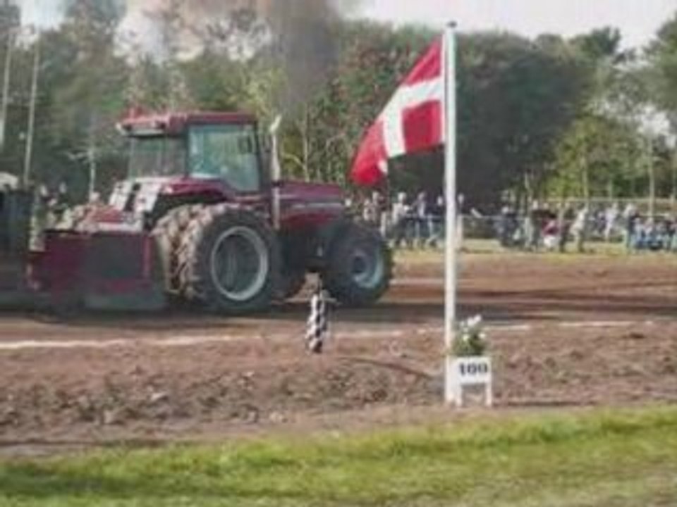 Dm 2008