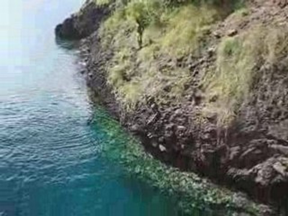 en direct du point Y 972